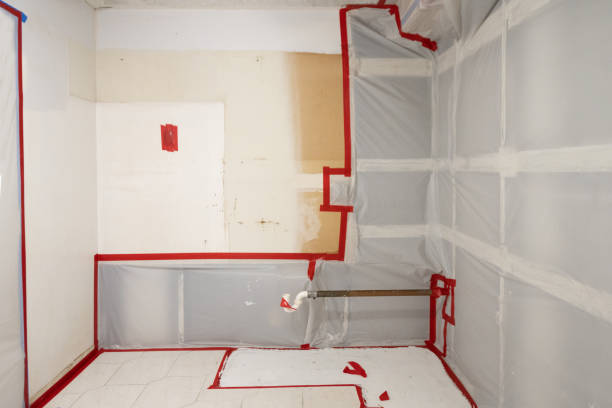 Best Forensic Mold Investigation  in Baxter Estates, NY